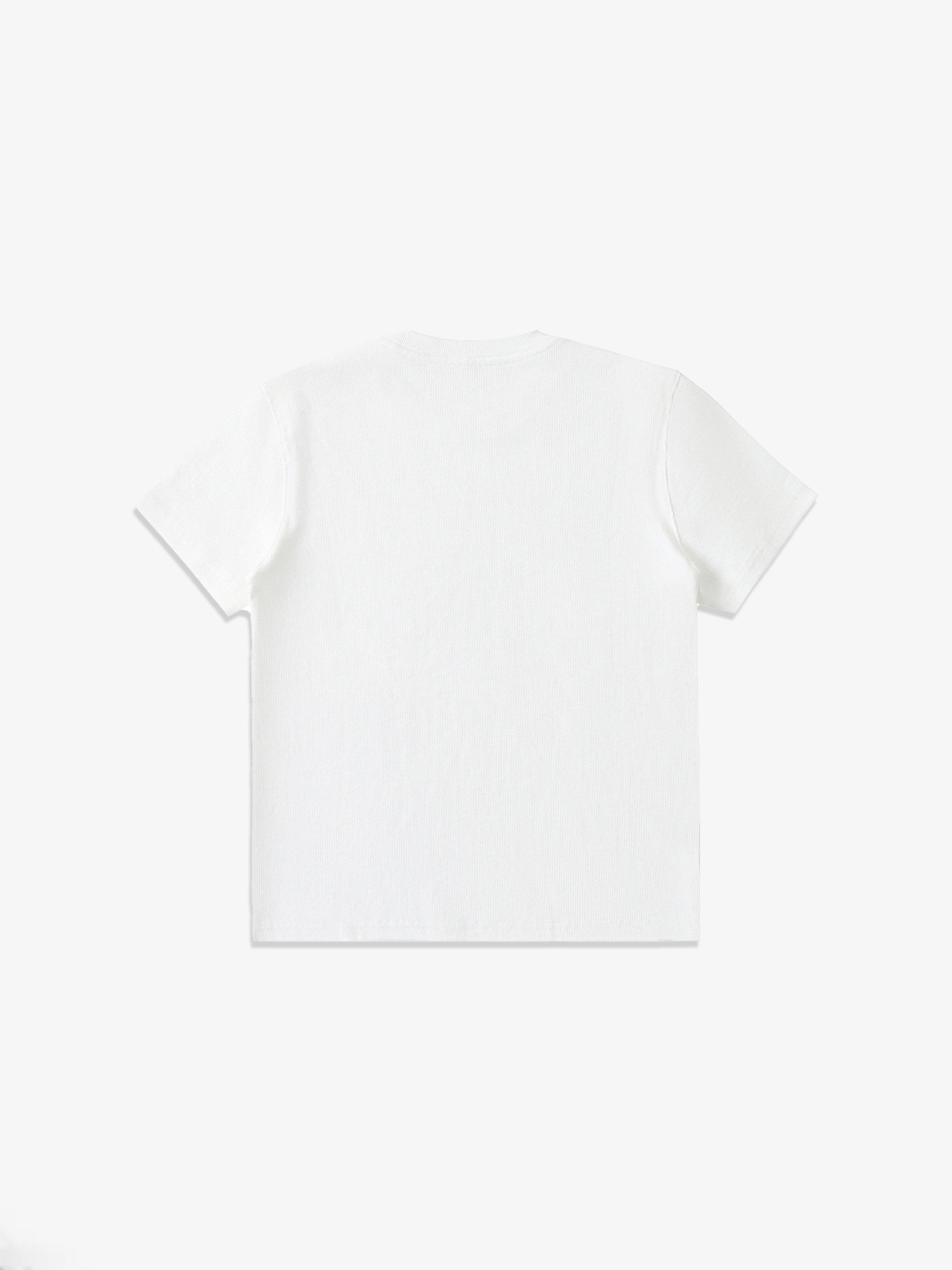 Foundation Ribbed Bodycon Crop Top