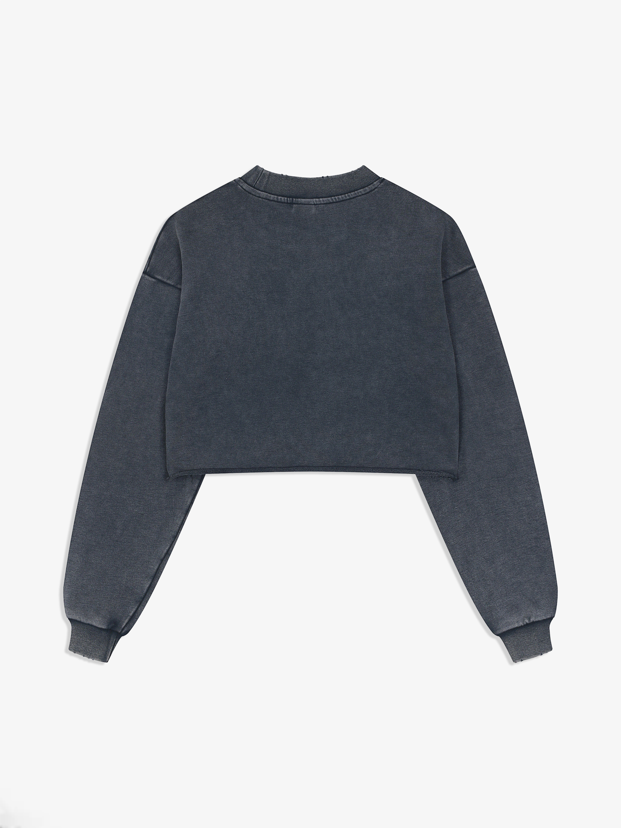 TMA Snow-Washed Raw Edge Crop Sweatshirt